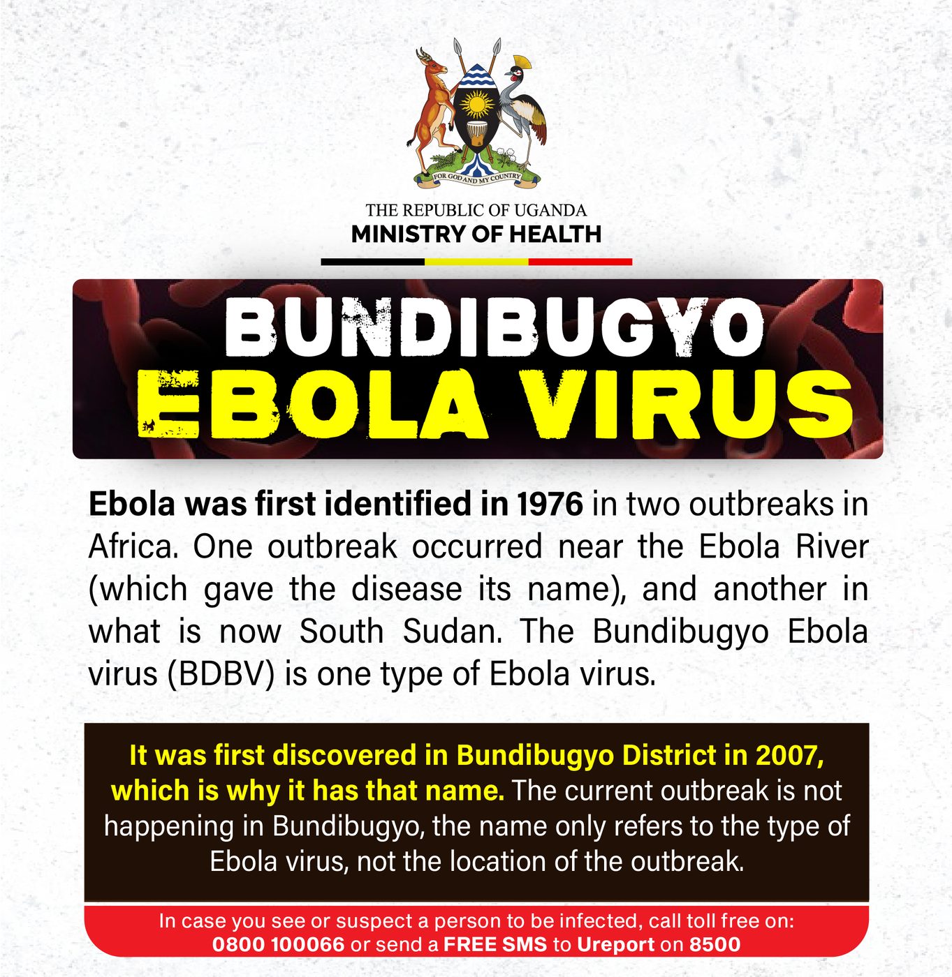 Information poster: about the Ebola virus